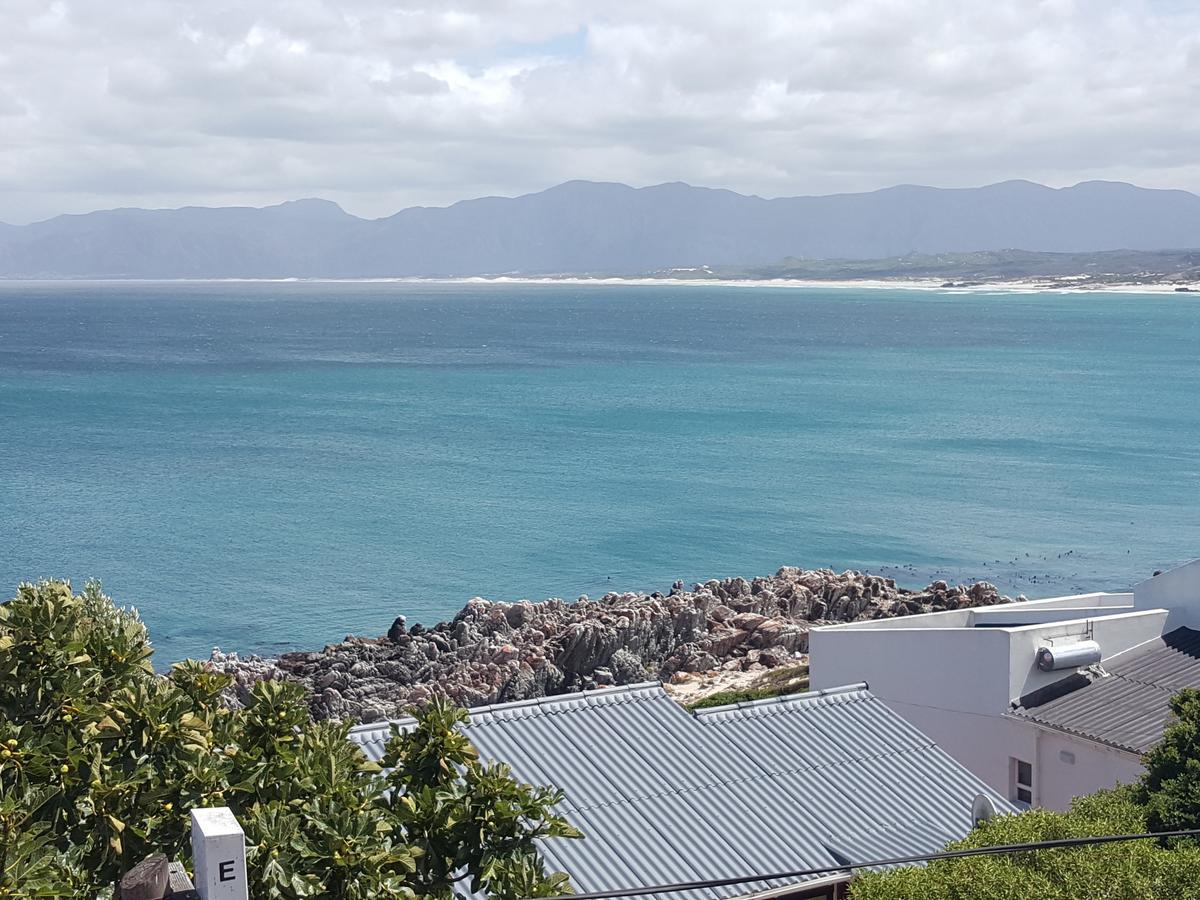 Amazing Grace B&B Gansbaai Exteriör bild