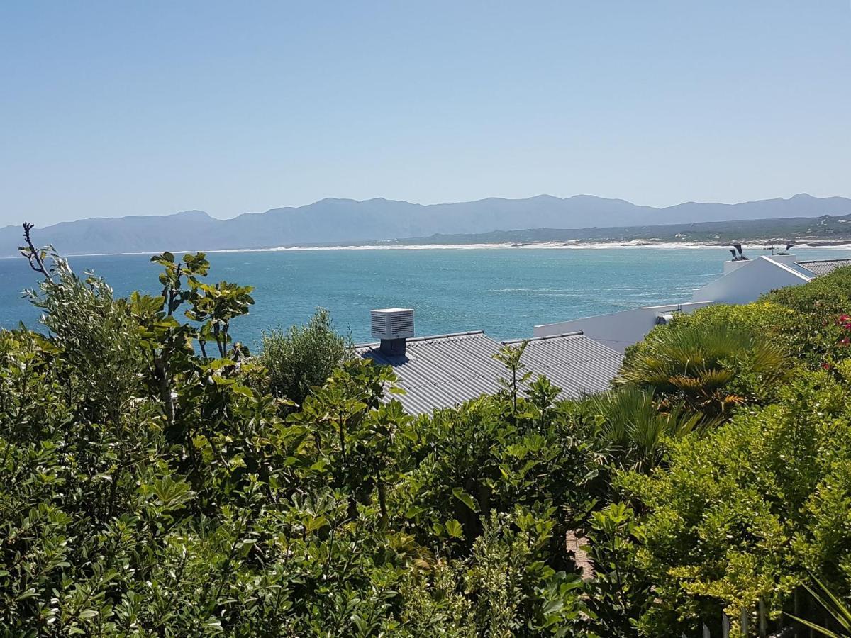 Amazing Grace B&B Gansbaai Exteriör bild
