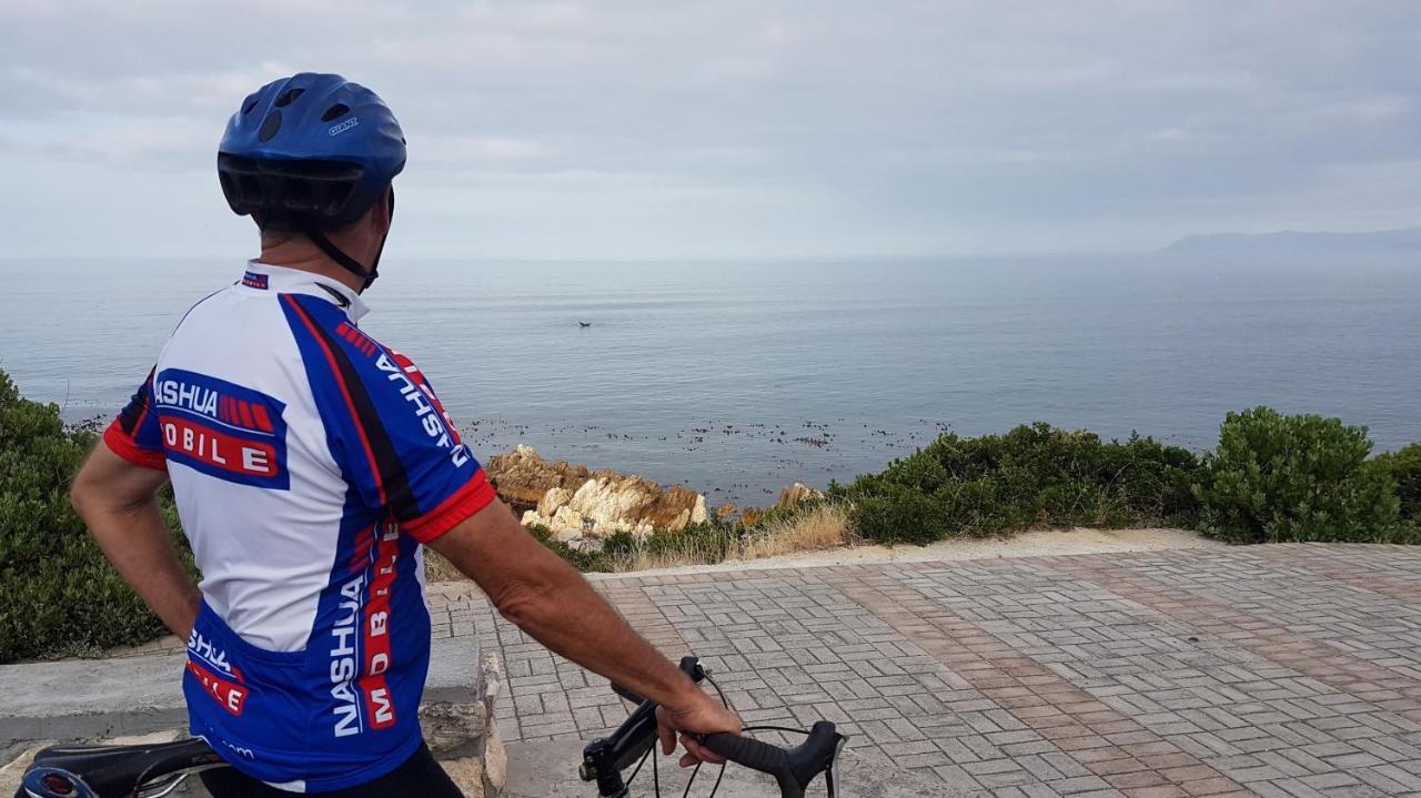 Amazing Grace B&B Gansbaai Exteriör bild